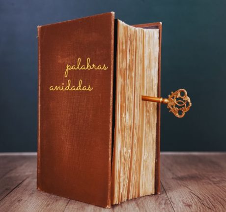 Ese-libro1-5