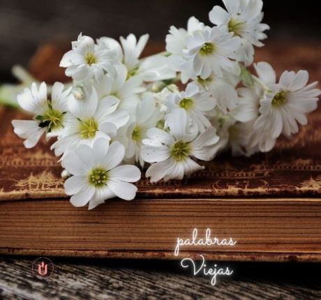 Giovanni-mi-primer-libro