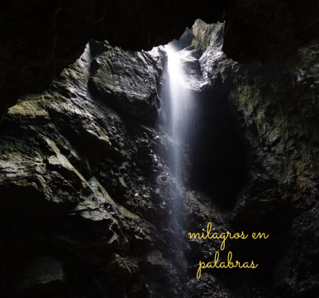 Milagros-en-palabras